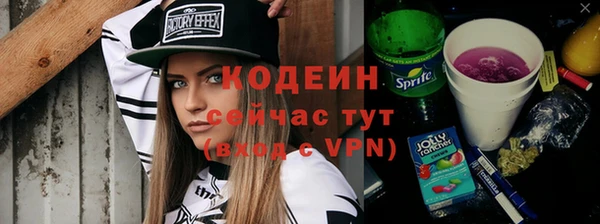 дурь Бородино
