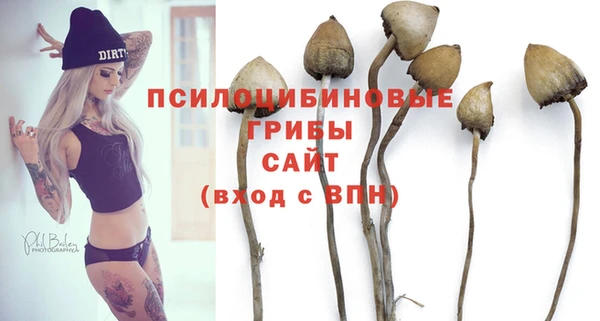 спиды Бронницы