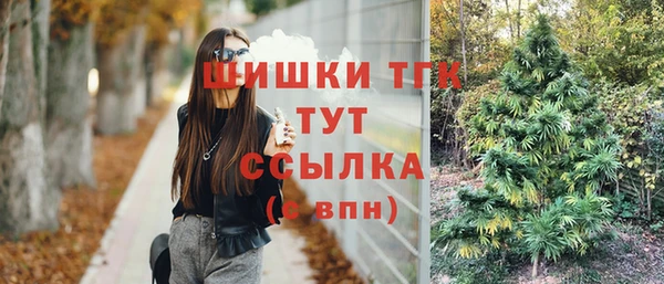 спиды Бронницы