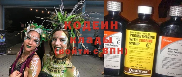 дурь Бородино