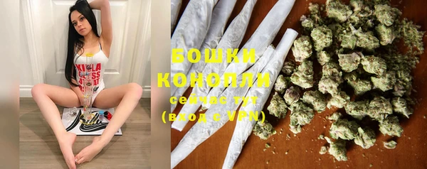 дурь Бородино