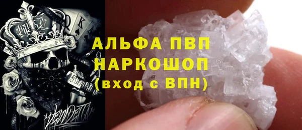 дурь Бородино