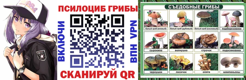 что такое наркотик  Дальнереченск  Галлюциногенные грибы GOLDEN TEACHER 